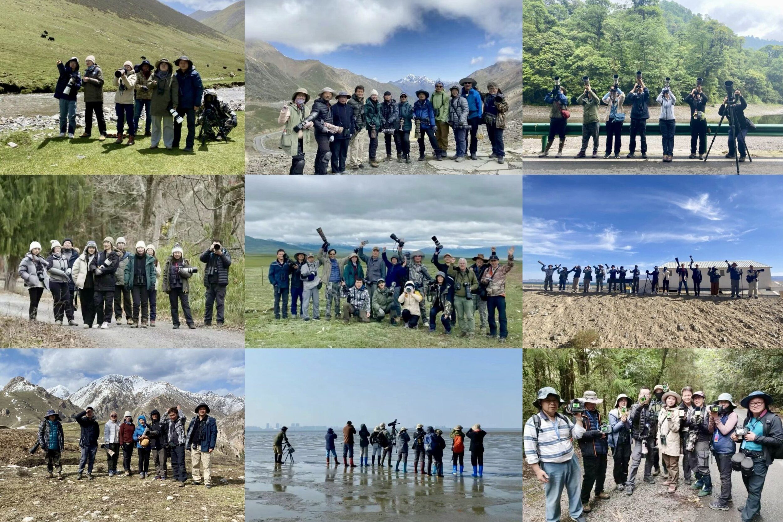 Summer Wong China Bird Tours